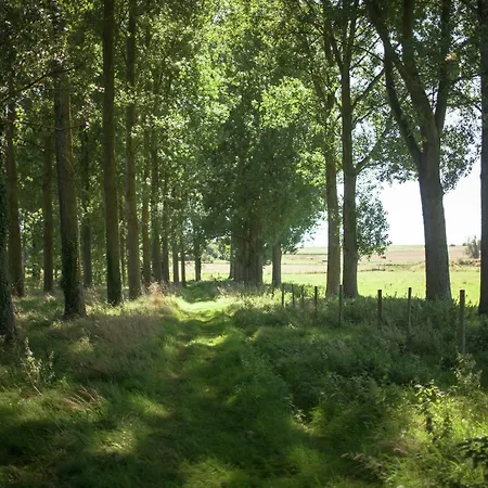 Cozy In Ponchel With Pond