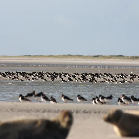Cozy In Ponchel With Pond