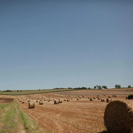 Cozy In Ponchel With Pond *