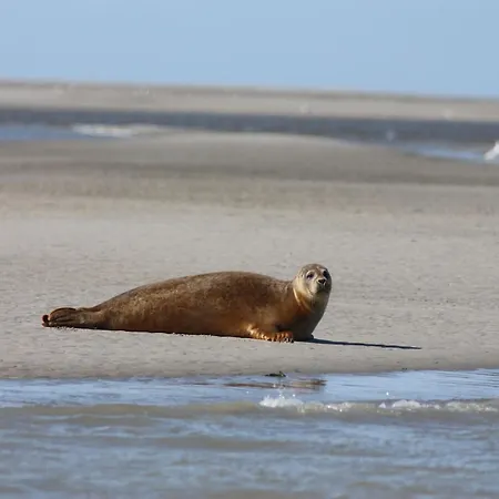 بيت للعطل Cozy In Ponchel With Pond *