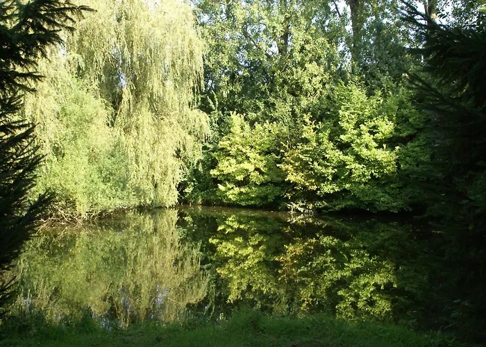 Semesterbostad Cozy In Ponchel With Pond Le Ponchel